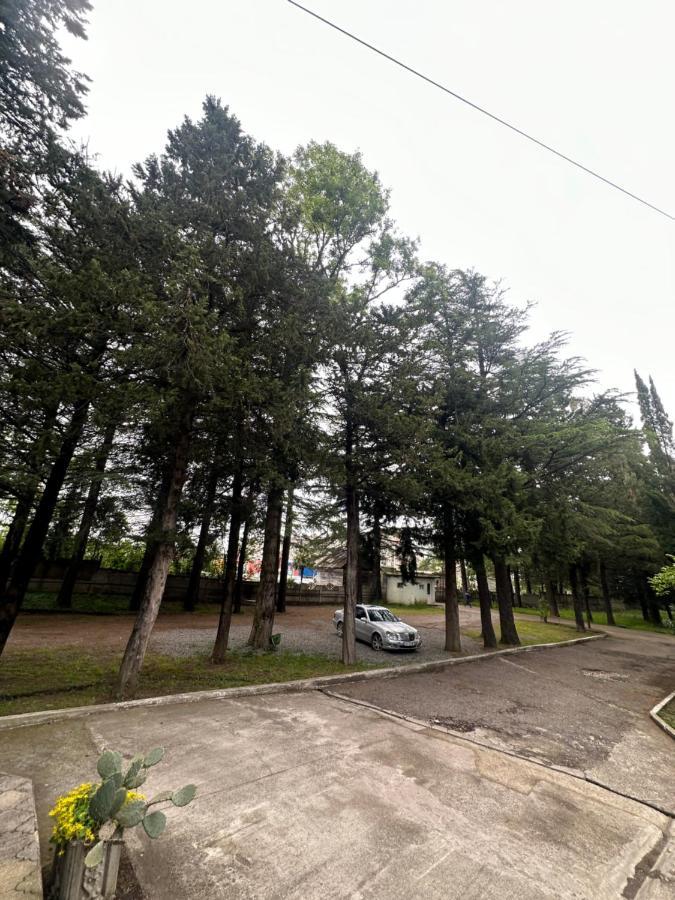 Imeri Park Hotel Kutaisi Bagian luar foto